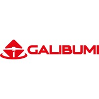 Galibumi Mining logo, Galibumi Mining contact details