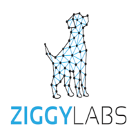 ZiggyLabs logo, ZiggyLabs contact details