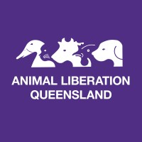 Animal Liberation Queensland logo, Animal Liberation Queensland contact details