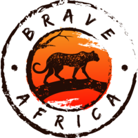 Brave Africa logo, Brave Africa contact details