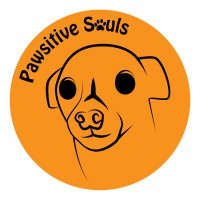 Pawsitive Souls logo, Pawsitive Souls contact details