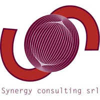 Synergy Consulting IT logo, Synergy Consulting IT contact details