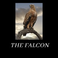 The Falcon logo, The Falcon contact details