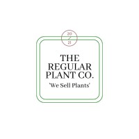 The Regular Plant Co. logo, The Regular Plant Co. contact details