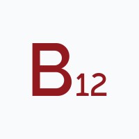 B12 for Digital Services logo, B12 for Digital Services contact details