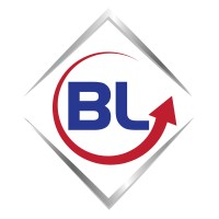 BRAIN LEADER COMPANY LTD. logo, BRAIN LEADER COMPANY LTD. contact details