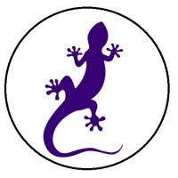 Gecko Finance logo, Gecko Finance contact details