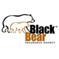 Black Bear Insurance Agency logo, Black Bear Insurance Agency contact details