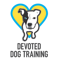 Devoted Dog Training logo, Devoted Dog Training contact details