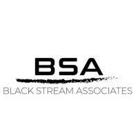 BSA - Black Stream Associates logo, BSA - Black Stream Associates contact details