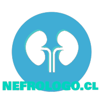 Nefrologo.cl logo, Nefrologo.cl contact details