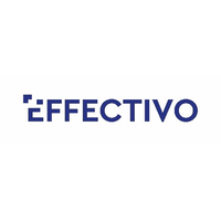 Effectivo Management Consulting, LLC logo, Effectivo Management Consulting, LLC contact details