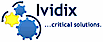 Ividix logo, Ividix contact details