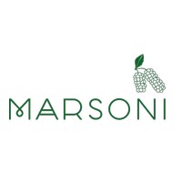 MARSONİ logo, MARSONİ contact details