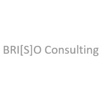 BRIZO Consulting Deutschland GmbH logo, BRIZO Consulting Deutschland GmbH contact details