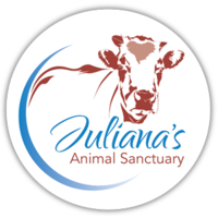 Julianas Animal Sanctuary logo, Julianas Animal Sanctuary contact details