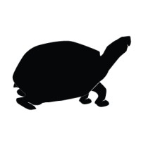 Slow Turtle Wines (Social Impact Project) logo, Slow Turtle Wines (Social Impact Project) contact details