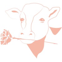 Milk and Rose logo, Milk and Rose contact details