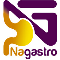 Nagastro logo, Nagastro contact details