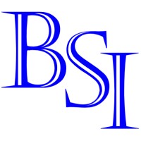 BSI Management Search & Consulting logo, BSI Management Search & Consulting contact details