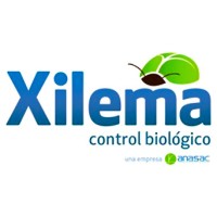 XILEMA Spa logo, XILEMA Spa contact details