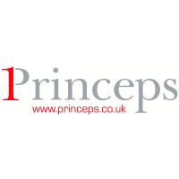 Princeps Electronics Limited logo, Princeps Electronics Limited contact details