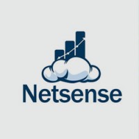 Netsense Business Solutions ASIA logo, Netsense Business Solutions ASIA contact details