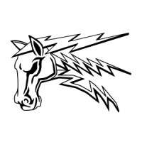 Thunderhorse Automation logo, Thunderhorse Automation contact details