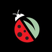 Neon Ladybird logo, Neon Ladybird contact details