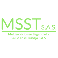 MSST S.A.S logo, MSST S.A.S contact details