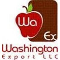 washington export llc logo, washington export llc contact details