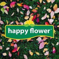 Happy Flower Mexicana logo, Happy Flower Mexicana contact details