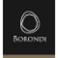 Borondi Group logo, Borondi Group contact details