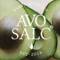 Avo Salc logo, Avo Salc contact details