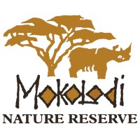 Mokolodi Nature Reserve logo, Mokolodi Nature Reserve contact details