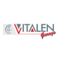 Vitalen Auto Performance INC. logo, Vitalen Auto Performance INC. contact details