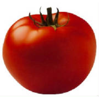 Tomato Solutions logo, Tomato Solutions contact details