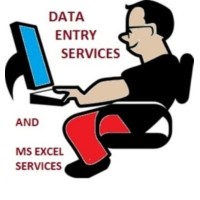 Microsoft Excel Data Entry logo, Microsoft Excel Data Entry contact details