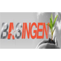 BASINGEN GROUP logo, BASINGEN GROUP contact details