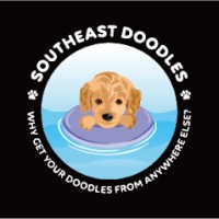 SouthEast Doodles logo, SouthEast Doodles contact details