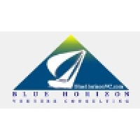 Blue Horizon Venture Consulting logo, Blue Horizon Venture Consulting contact details