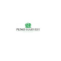 Puno Harvest Builders logo, Puno Harvest Builders contact details