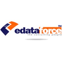 eDataforce Consulting LLC logo, eDataforce Consulting LLC contact details