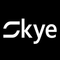 Skye Intelligence Technology logo, Skye Intelligence Technology contact details