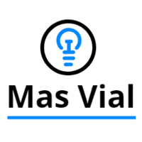 Mas Vial SpA logo, Mas Vial SpA contact details