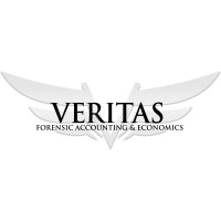 Veritas Forensic Accounting and Economics, PLLC logo, Veritas Forensic Accounting and Economics, PLLC contact details