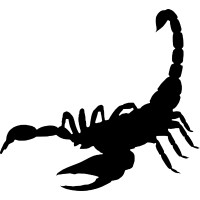 Scorpion Security Services logo, Scorpion Security Services contact details