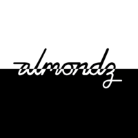 almondz logo, almondz contact details