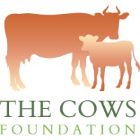 The Cows Foundation logo, The Cows Foundation contact details