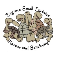 BIG AND SMALL TORTOISE RESCUE AND SANCTUARY logo, BIG AND SMALL TORTOISE RESCUE AND SANCTUARY contact details